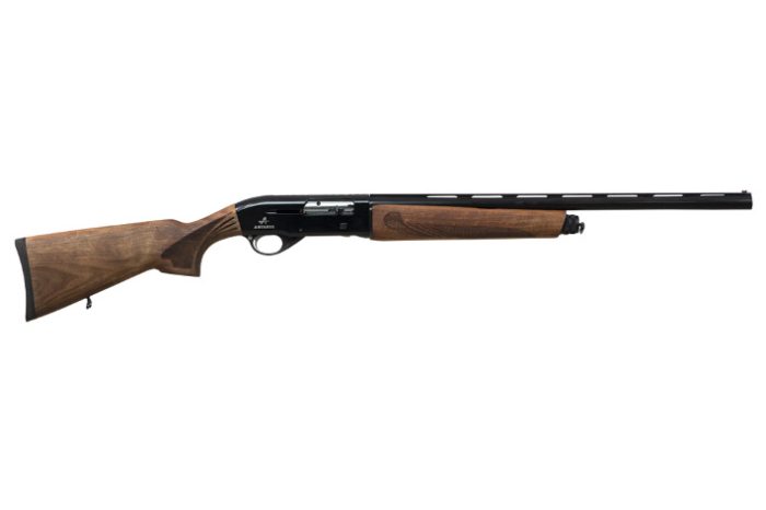 semiauto02