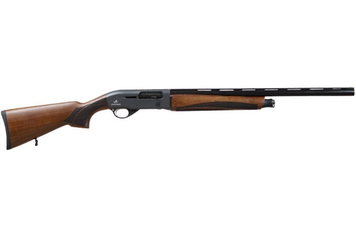 semiauto08